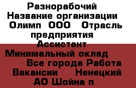 Разнорабочий › Название организации ­ Олимп, ООО › Отрасль предприятия ­ Ассистент › Минимальный оклад ­ 25 000 - Все города Работа » Вакансии   . Ненецкий АО,Шойна п.